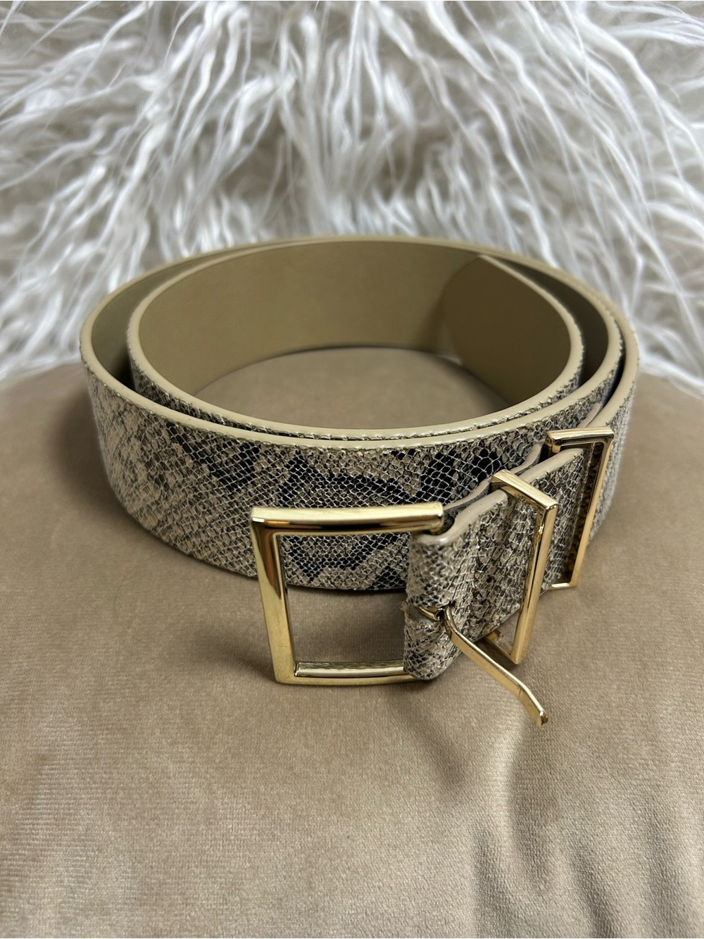 LP Blue by Linea Pelle Snakeskin Print Gold Square Buckle Belt